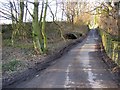 Site of Throstle Nest (?), Shepherds Thorn Lane, Rastrick