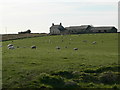 Traffwll, near Llanfihangel yn Nhowyn.