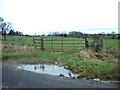 NY4576 : Field gate on the way to Catlowdy by Alexander P Kapp