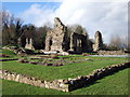 Monastic garden  at Haverfordwest priory