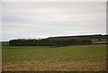 View across South Farm downland