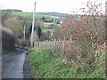 View down Rose Lane, Bishopsbourne.