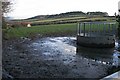 Feeding Station and Pasture