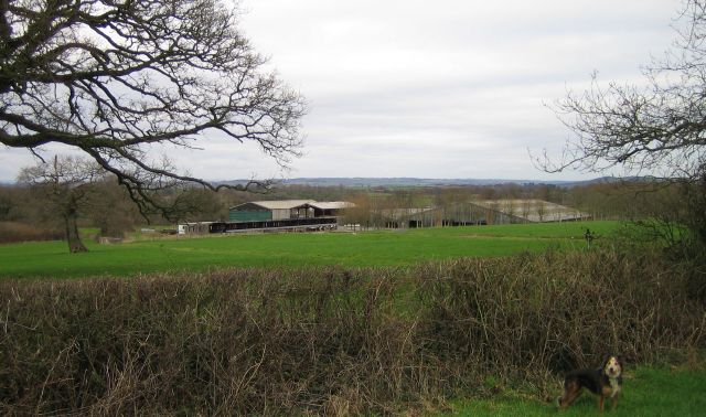 Townsend Dairy Farm