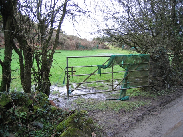Field and Gate at Hafod-Leci