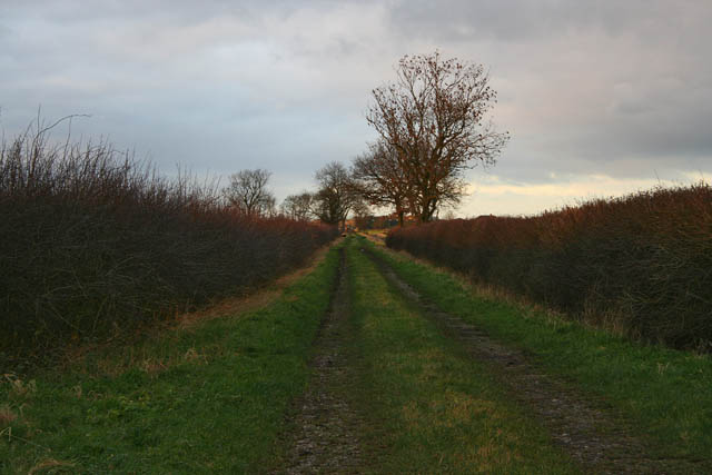 Farm track to Holme Hill Farm
