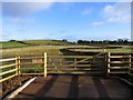 Gate and Fields