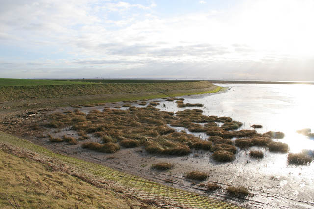 Paull Holme Strays © Kate Jewell cc-by-sa/2.0 :: Geograph Britain and ...