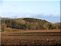 Mound by quarry