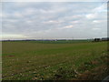 open fields towards Acol Village