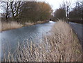 Runcorn and Latchford Canal