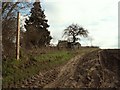 Footpath by Cockfield Hall