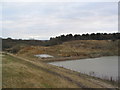 Weldon Landfill Site I; southern end