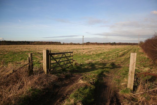Farmland off Brigg Road