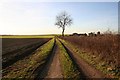 Track to Sweet Hills Farm