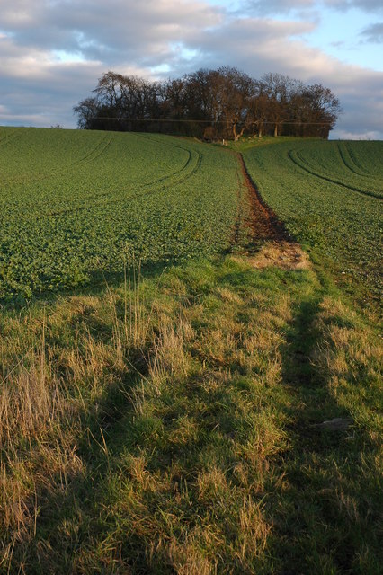 Bridleway at Hill Croome
