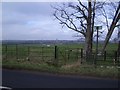 Footpath to Olney from Clifton Pastures