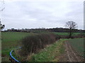 Towards Manor Farm and woods