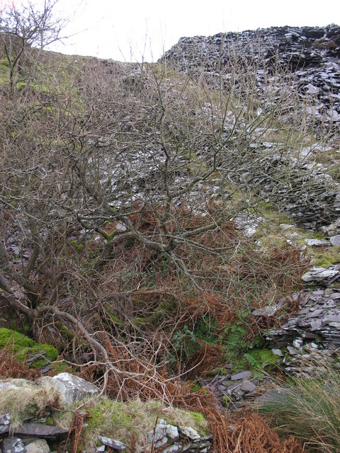 The 'lefal' and incline at Cook's old reduction level