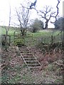 Steps and Stile above Nant-y-Fflint