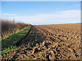 TA0565 : Ploughed Field by Stephen Horncastle