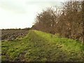 Bridleway to Debenham