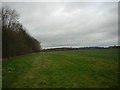 Oatlands Farm Fields