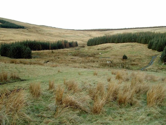 Rough Grazing and Woodland