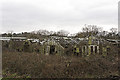 Derelict glasshouses off Wangfield Lane