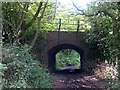 Bridleway under Disused Railway