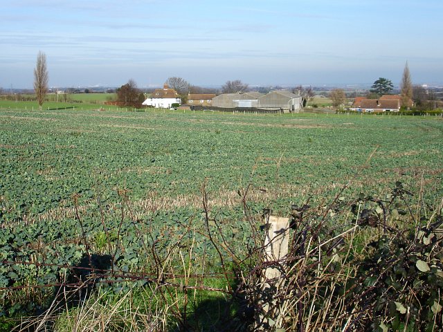 Firs Farm from Blind Mary's Lane