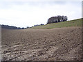 Farmland between Ridge and Chilmark