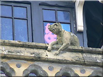 SO5039 : Hereford Library, Museum and Art Gallery, Broad Street, gargoyle 3 by Brian Robert Marshall