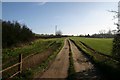 Footpath to Fen Farm