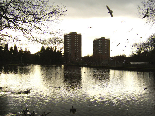 Duck Pond, Dalmuir Park by Stephen Sweeney