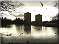 Duck Pond, Dalmuir Park