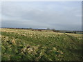 Reservoir off Sandbeck Lane, Blyton