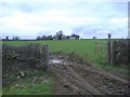 ST8584 : Widley's farm by Roger Cornfoot