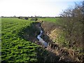 Golborne Brook