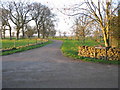 Entrance to Downthorns Farm