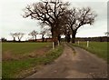 Road to Abbey Farm