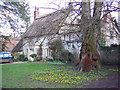 Spring Flowers and Cottage at Stockton