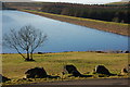 J2898 : Killylane Reservoir near Larne by Albert Bridge