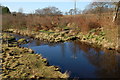 The Glenwhirry River at the Pigtail Bridge