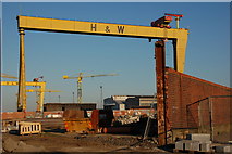 J3575 : Shipyard cranes, Belfast by Albert Bridge