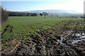 Field near Newton Court