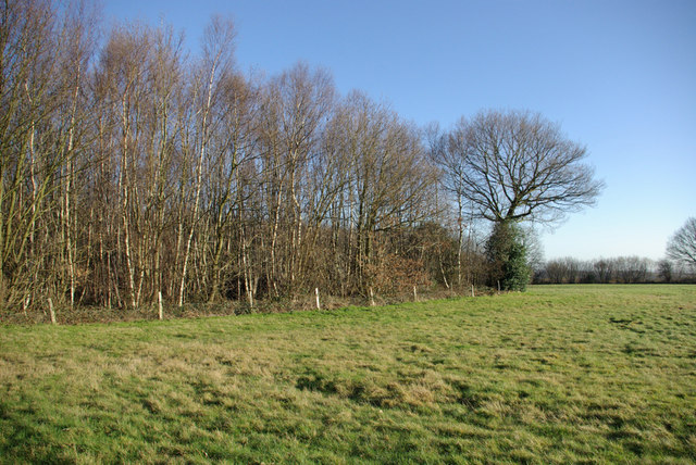 A Southern Corner Of Mereworth Woods © Robin Webster :: Geograph 