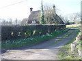 Cottage and Snowdrops