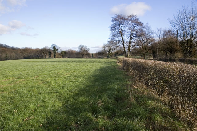 Field next to Fullers Gate