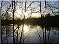 Late Afternoon on Shortheath Pond